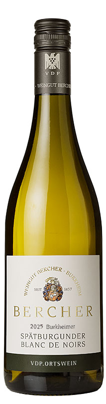 2025er Burkheimer Spätburgunder Blanc de Noirs trocken VDP.ORTSWEIN